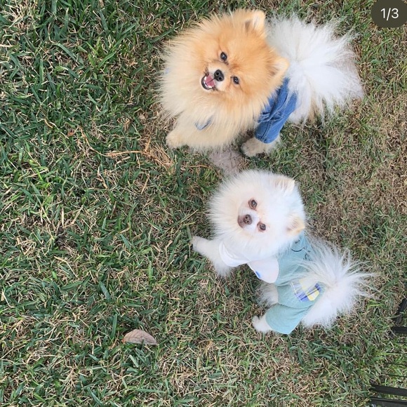 Snoopy overalls - Picture 3 of 5